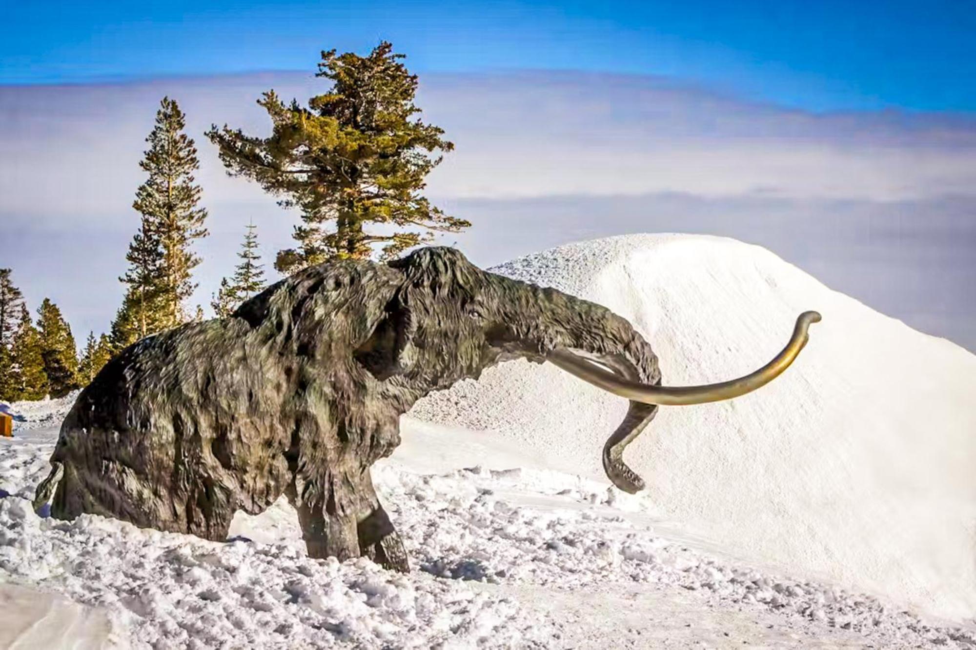 Discovery 4 119 Mammoth Lakes
